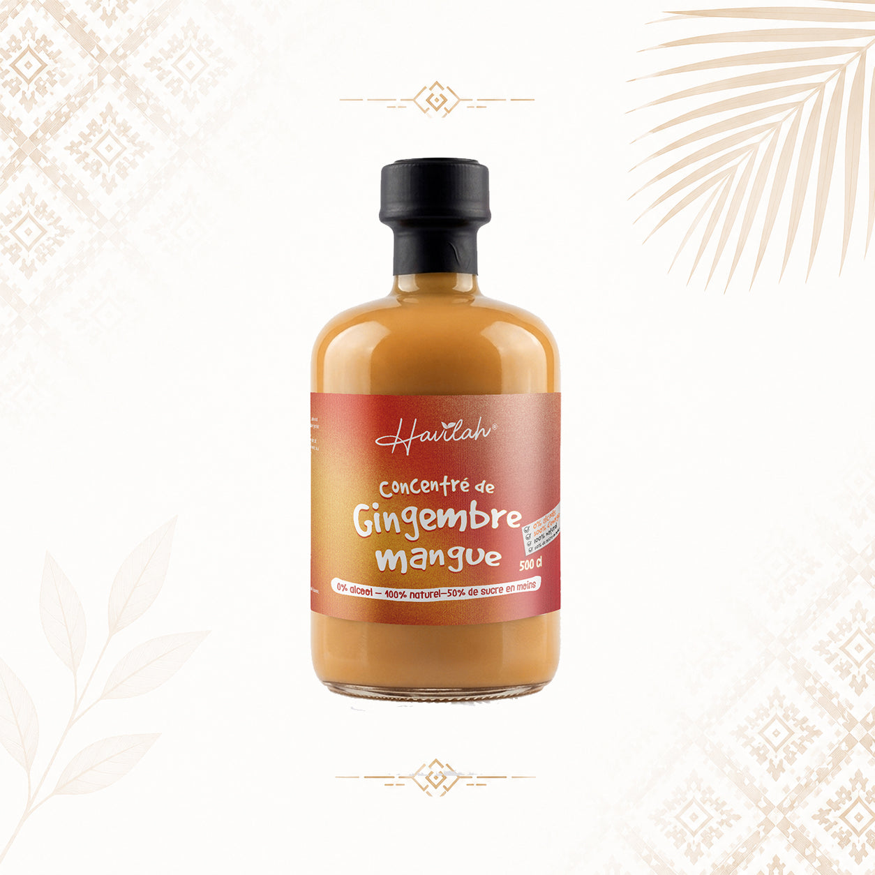 Concentré Gingembre-Mangue